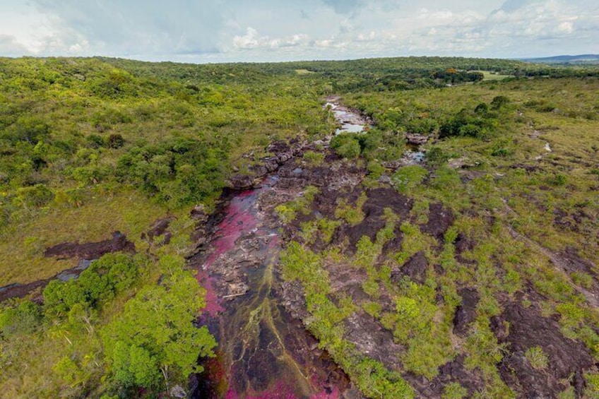 Caño Cristales Private 3-Day Trekking Tour from Bogota Jun - Nov 2021