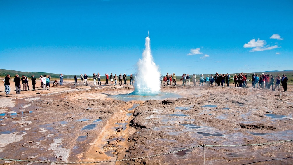 A geyser in Reykjavik Iceland