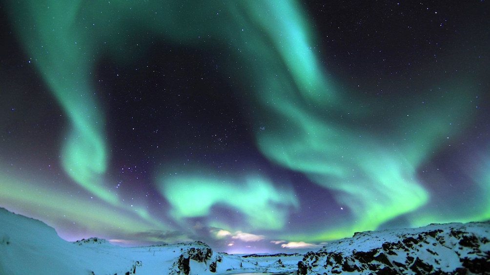 observing the northern lights in Reykjavik