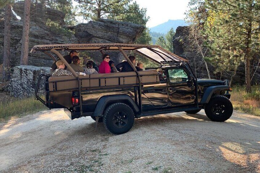 Jeep Bison Safari - Custer State Park (Public) 