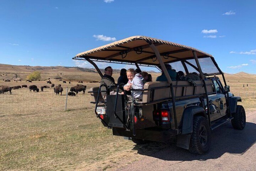 Jeep Bison Safari - Custer State Park (Public) 