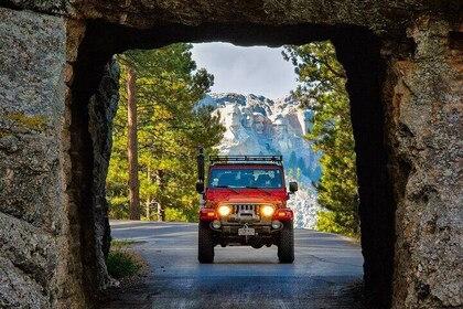 JEEP Bison Safari with Sylvan Lake/Needles Highway/Iron Mtn Road