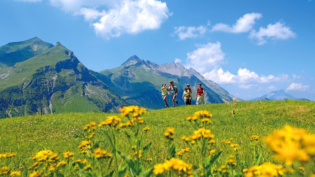 group hiking on the rolling hills in Switzerland