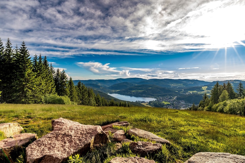 Black Forest, Lake Titisee & Rhine Falls Excursion