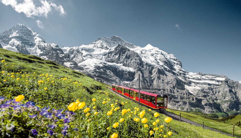 Eiger & Alpine Glaciers Full-Day Tour