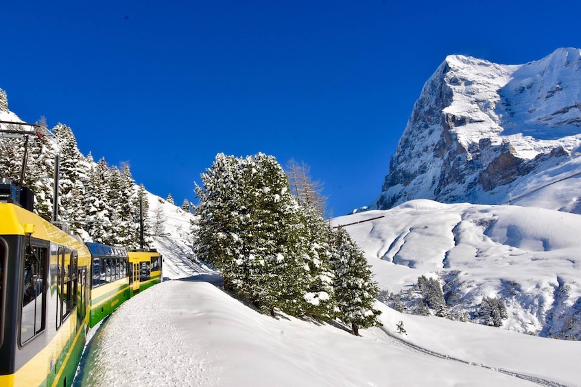 Eiger & Alpine Glaciers Full-Day Tour from Lucerne