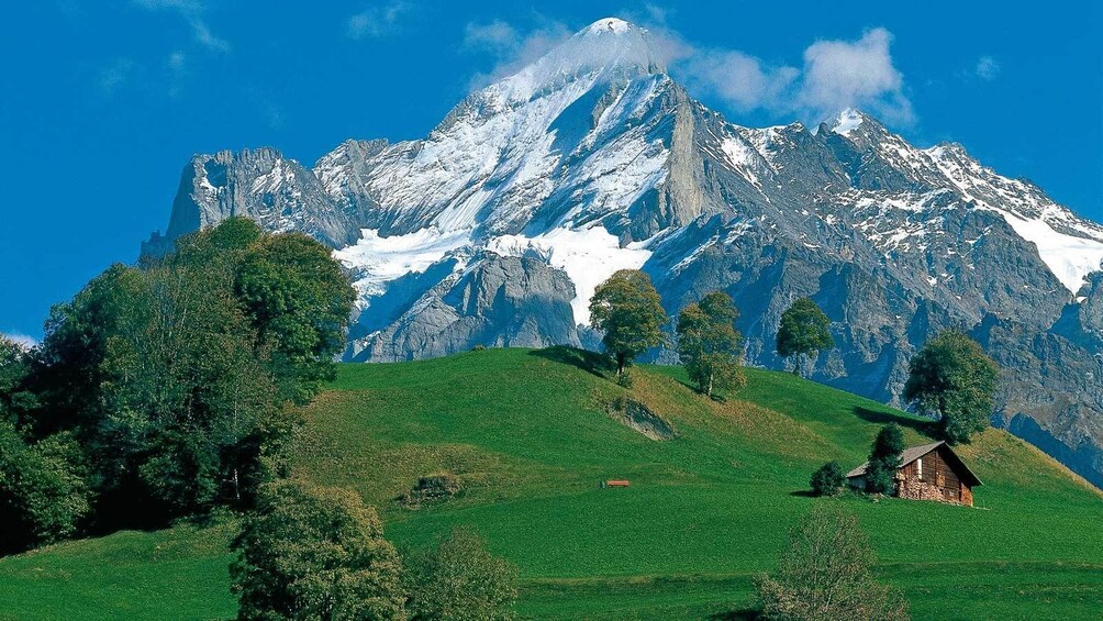 small shed near the snow capped mountains in Switzerland