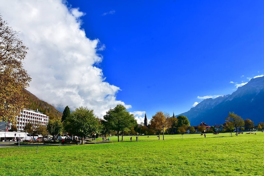 Interlaken & Grindelwald Full-Day Tour from Lucerne