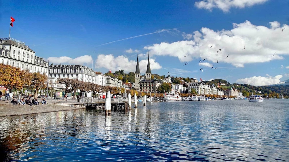 basking in the sunlight along the bay in Switzerland