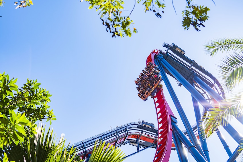 Busch Gardens Tampa Theme Park Tickets