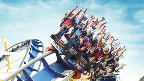 Busch Gardens Tampa Park Tickets