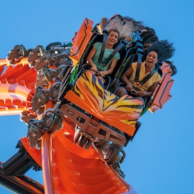 Biljetter till Busch Gardens Tampa eller Adventure Island® Park
