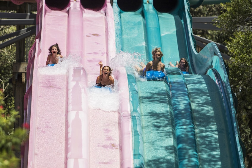 Busch Gardens Tampa Theme Park Tickets