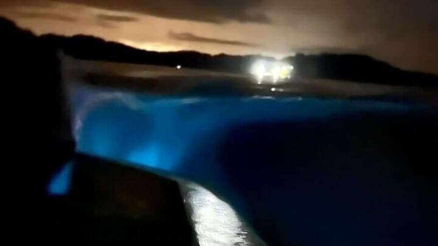 Bioluminescence Tour by Boat