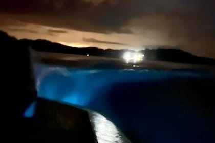 Bioluminescence Tour by Boat