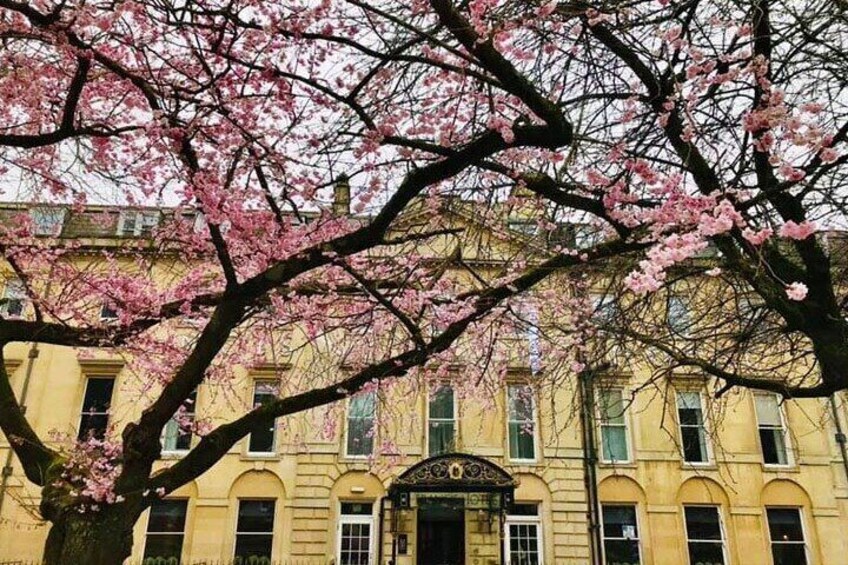 Private Guided Tour of Jane Austen's Bath