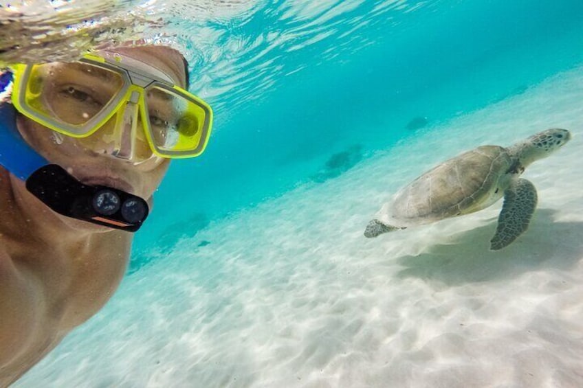 3Hour. 5 in 1 Water Sports Package (Turtle Snorkel Cruise) in Waikiki