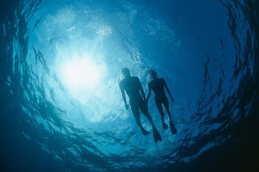 3Hour. 5 in 1 Water Sports Package (Turtle Snorkel Cruise) in Waikiki 