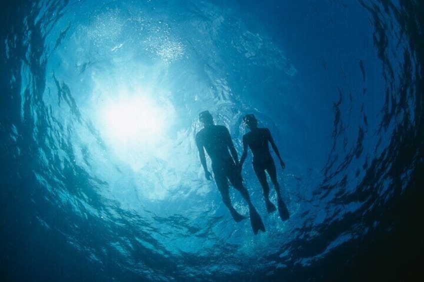 3Hour. 5 in 1 Water Sports Package (Turtle Snorkel Cruise) in Waikiki