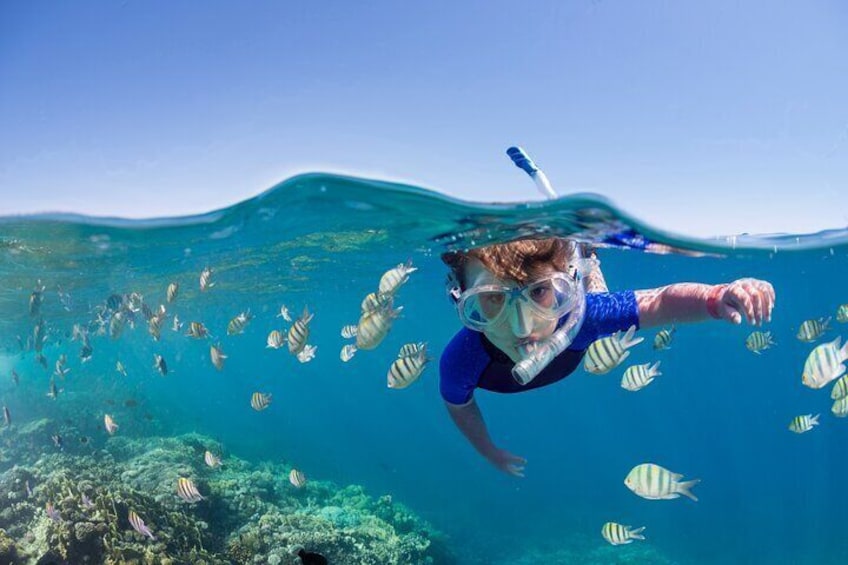 3Hour. 5 in 1 Water Sports Package (Turtle Snorkel Cruise) in Waikiki