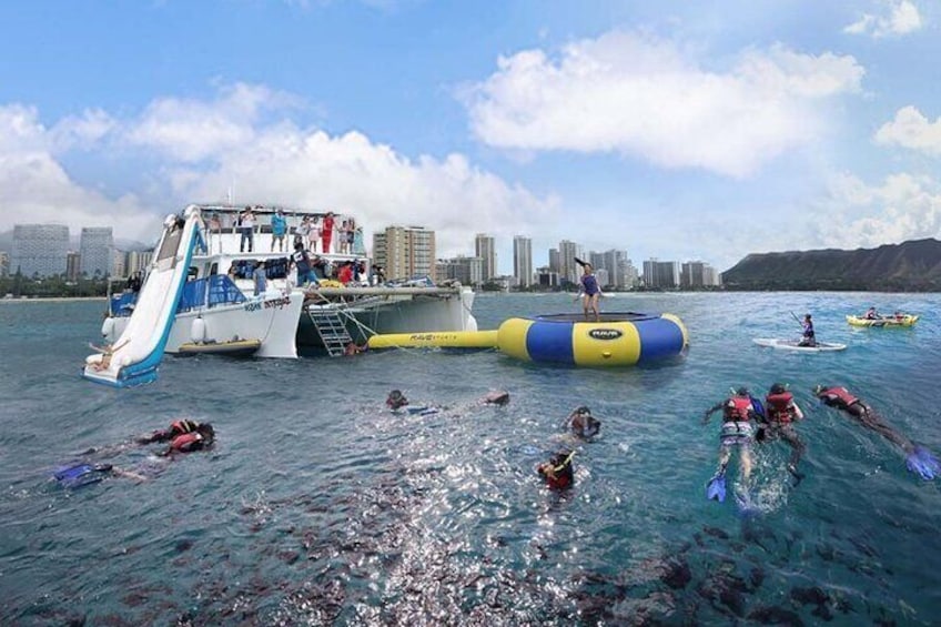 3Hour. 5 in 1 Water Sports Package (Turtle Snorkel Cruise) in Waikiki 
