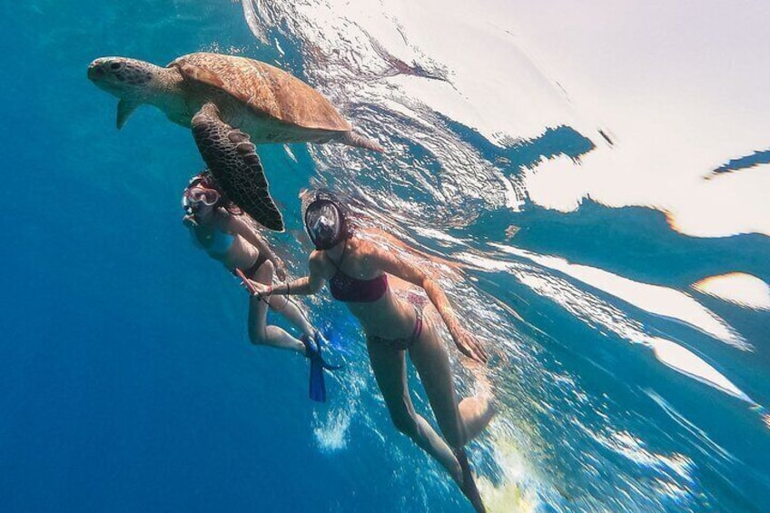 3Hour. 5 in 1 Water Sports Package (Turtle Snorkel Cruise) in Waikiki