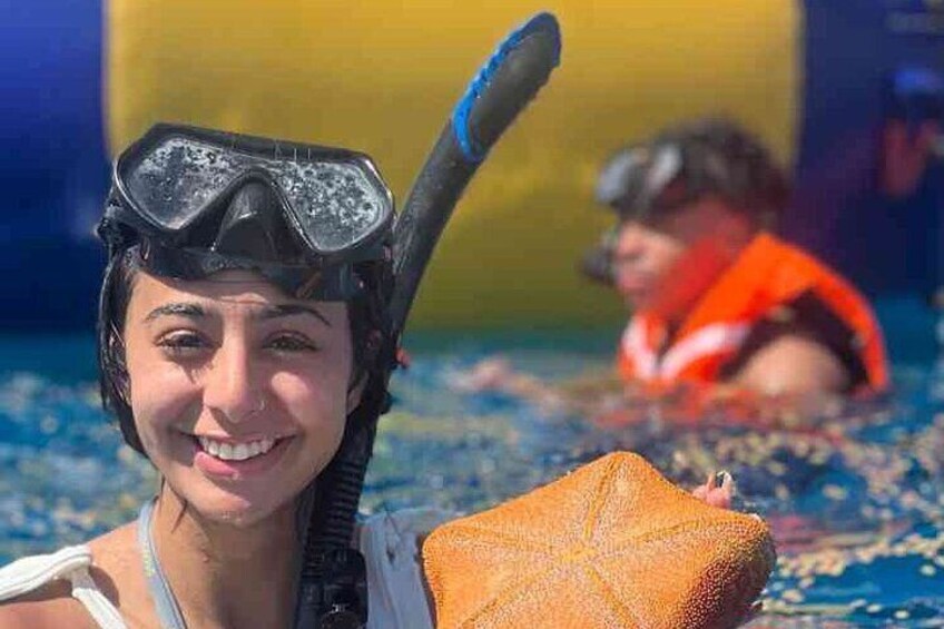 3Hour. 5 in 1 Water Sports Package (Turtle Snorkel Cruise) in Waikiki 