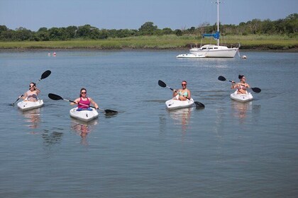 2-Hour Kayak Rental in Cape May per person