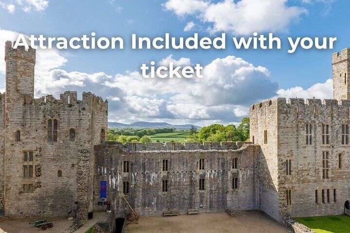 Visit Caernarfon Castle