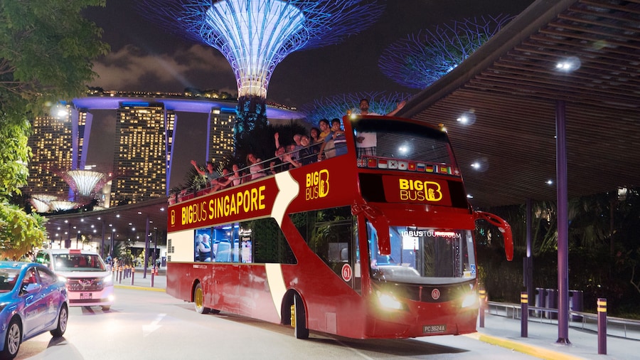 Singapore Night City Tour