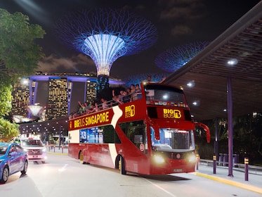Recorrido nocturno en autobús por la ciudad de Singapur