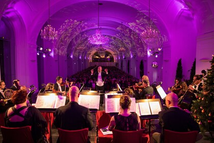 Kväll i Schönbrunn: Middag & Klassisk Konsert