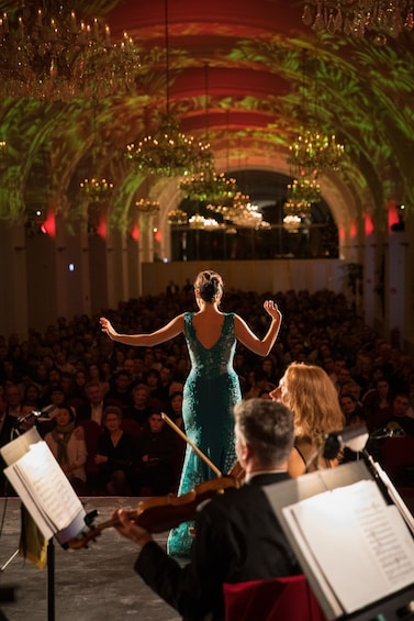 Schönbrunn Palace Classical Concert & Dinner