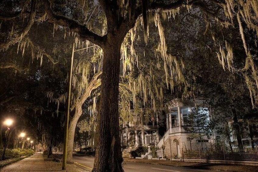 Late Night Savannah Haunted Pub Crawl And Ghost Tour