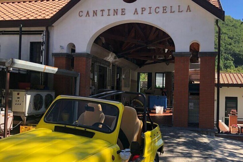 Amalfi Coast vintage tour with cheese and wine tastings