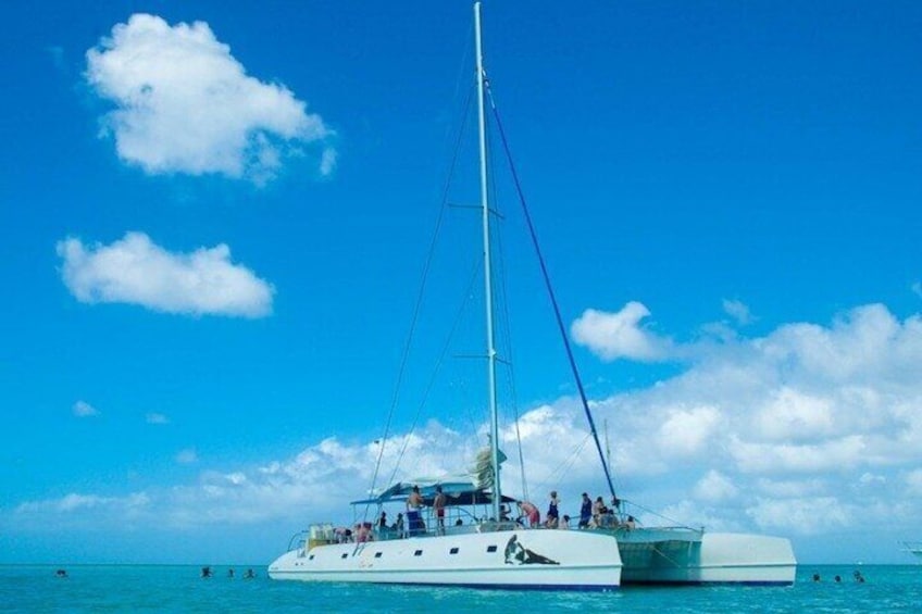 Saona Island Day Trip from Santo Domingo