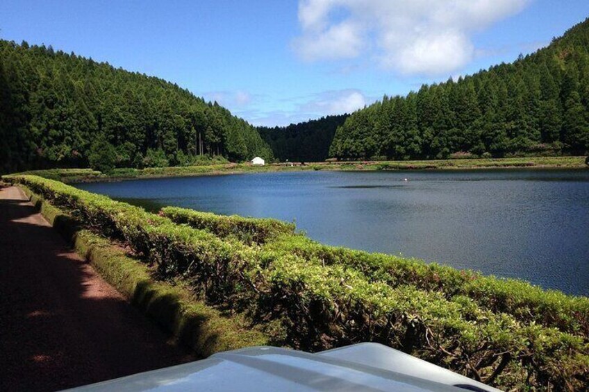 Explore different trails at Sete Cidades Volcano on Half-Day Tour 4x4 jeep