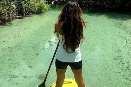 Expérience de stand up paddle dans la nature à Miami
