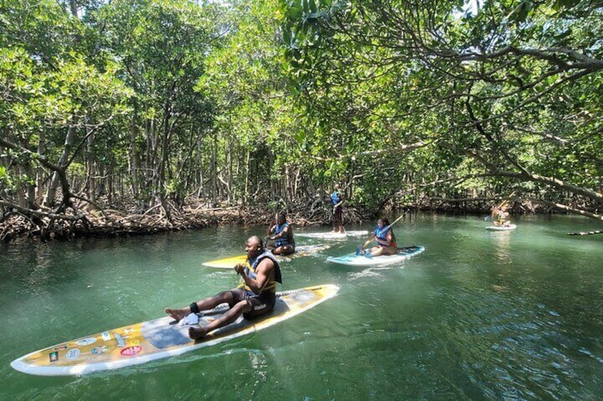 Nature Stand Up Paddle Boarding Experience in Miami