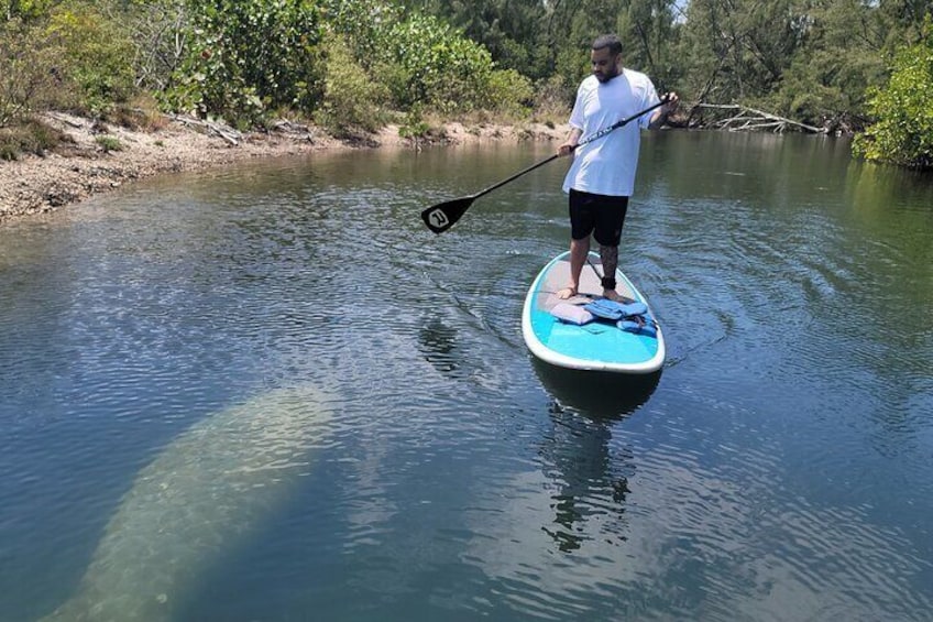 Nature Stand Up Paddle Boarding Experience in Miami