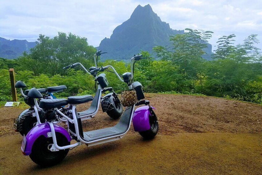 Private Electric Scooter Tour of Moorea Island