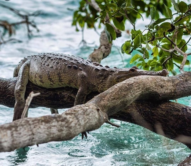 Gorgeous Nature Adventure at Bacalar!