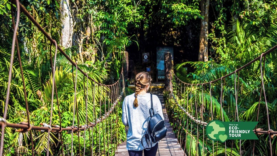 Khao Yai National Park Tour from Bangkok â Full Day