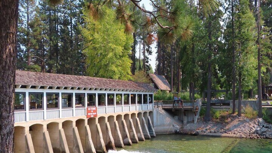 Driving Lake Tahoe: A Self-Guided Audio Tour From Tahoe City to Incline Village