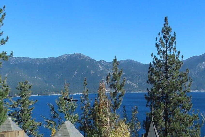 Driving Lake Tahoe: A Self-Guided Audio Tour From Tahoe City to Incline Village