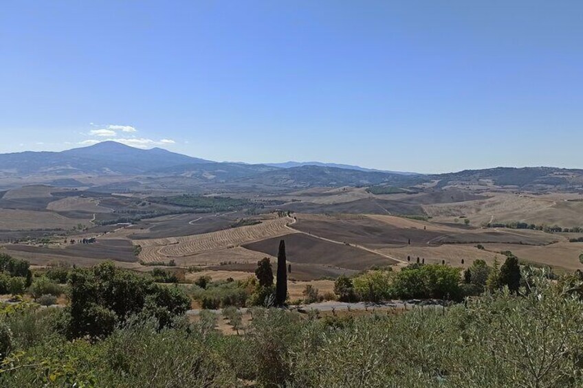 From Florence:Val d'Orcia Wine tour,Brunello Montalcino,Pienza and Montepulciano
