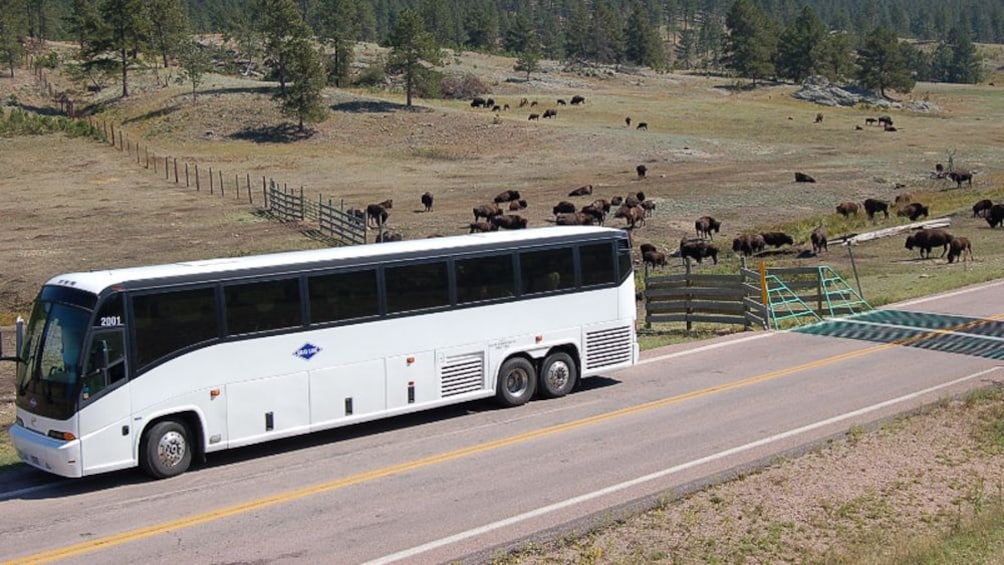Coach bus parked on side of road in South Dakota
