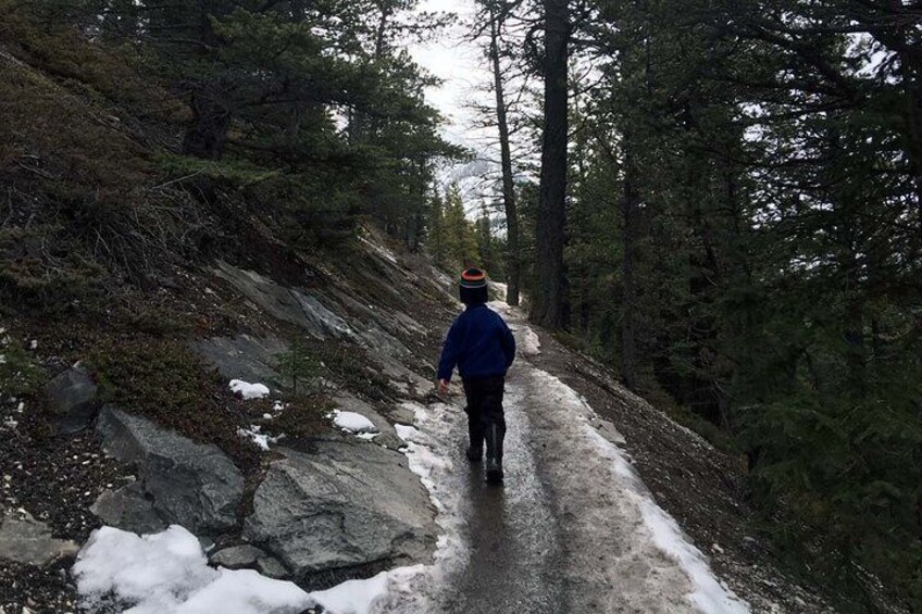 Tunnel Mountain GPS-Guided Audio Nature Tour | Banff, AB