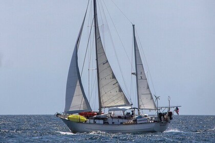 4 Hour Sailing Tour of Vineyard Haven Harbour and Sound