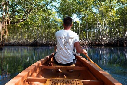 Half-Day Private Los Haitises Caves and Mangroves Canoe Tour